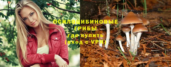 винт Аркадак