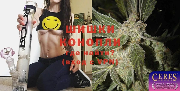2c-b Горняк