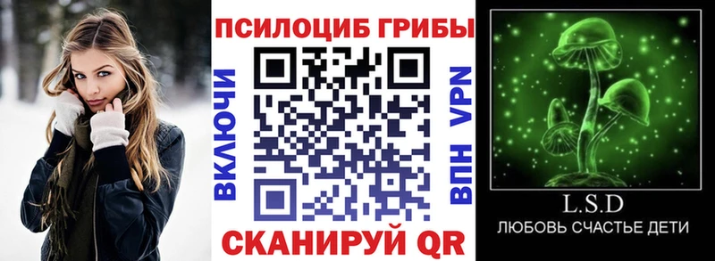 Галлюциногенные грибы Psilocybe  Лаишево 